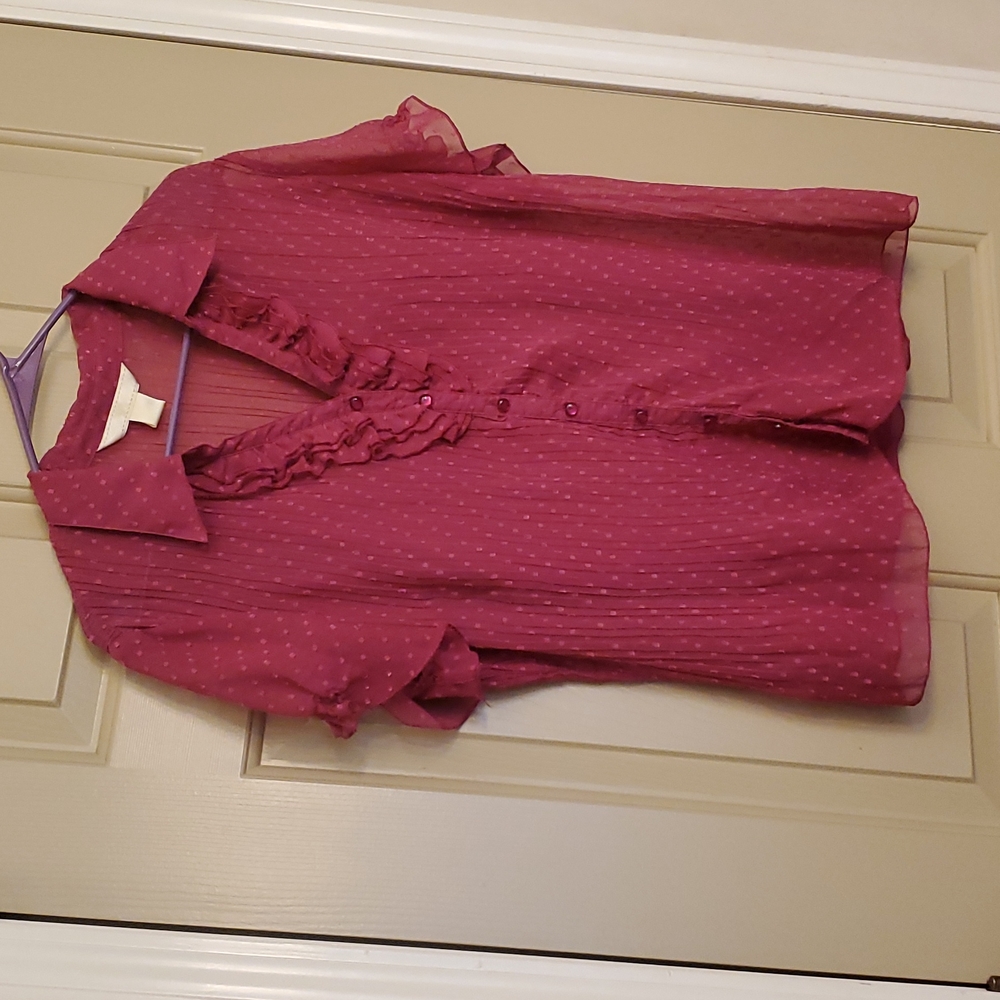 Pink New York label shear blouse with matching camisole